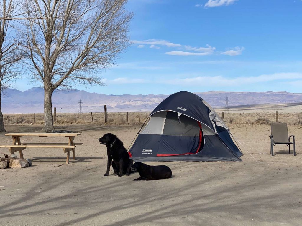 Lake Olancha Tent Site